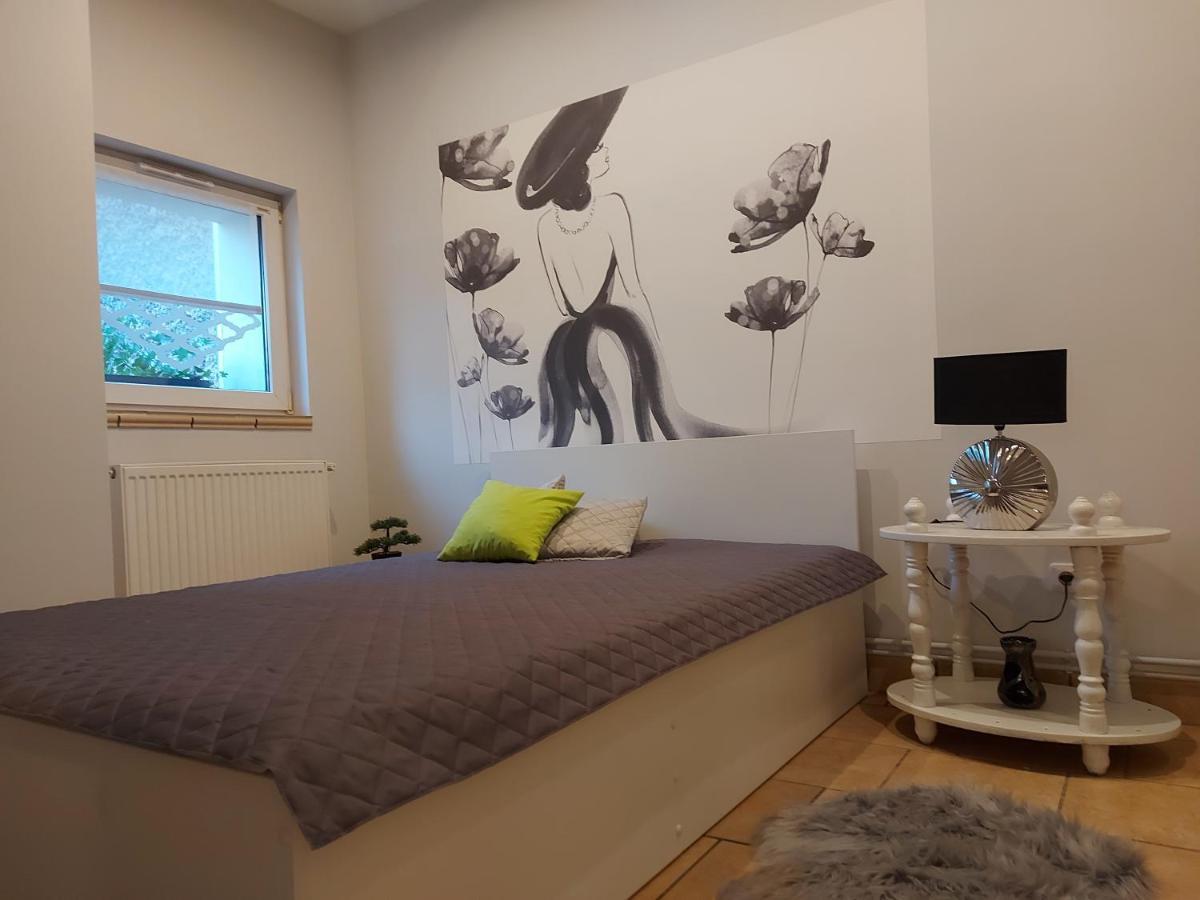 Apartament Przy Ratuszu Boguszów-Gorce 外观 照片